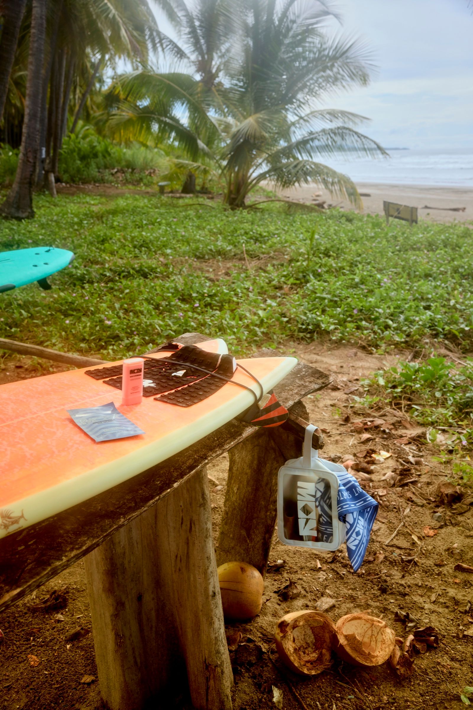 Moment of Youth: Surfboard under palms